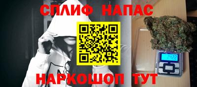 индика Балахна