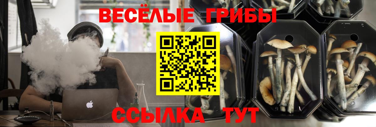 Галлюциногенные грибы мицелий  Вход с VPN  Псилоцибиновые грибы GOLDEN TEACHER  Егорьевск 